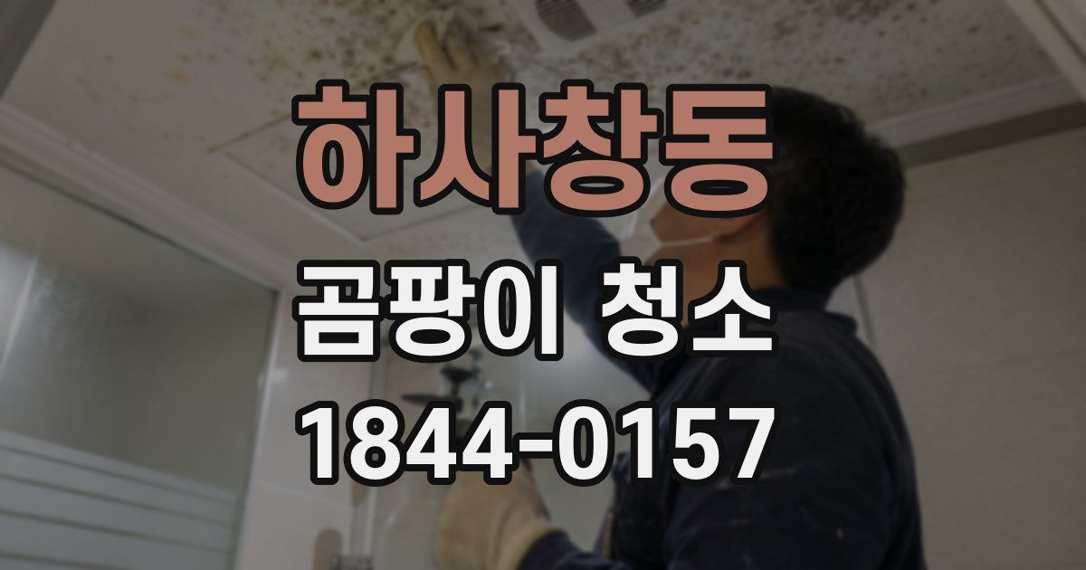 하사창동 곰팡이 청소
