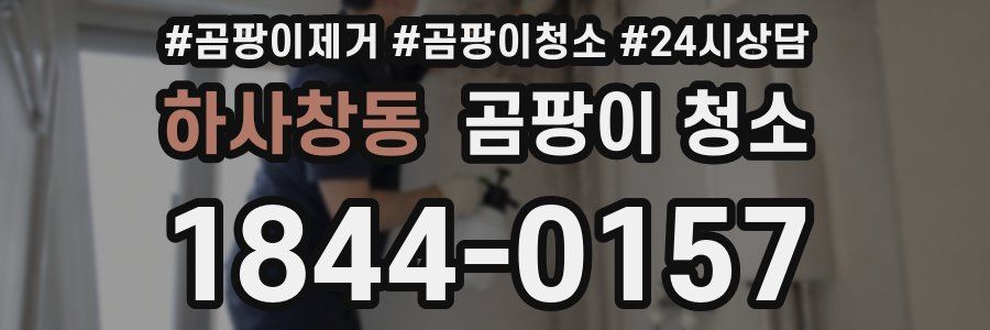 하사창동 곰팡이 청소