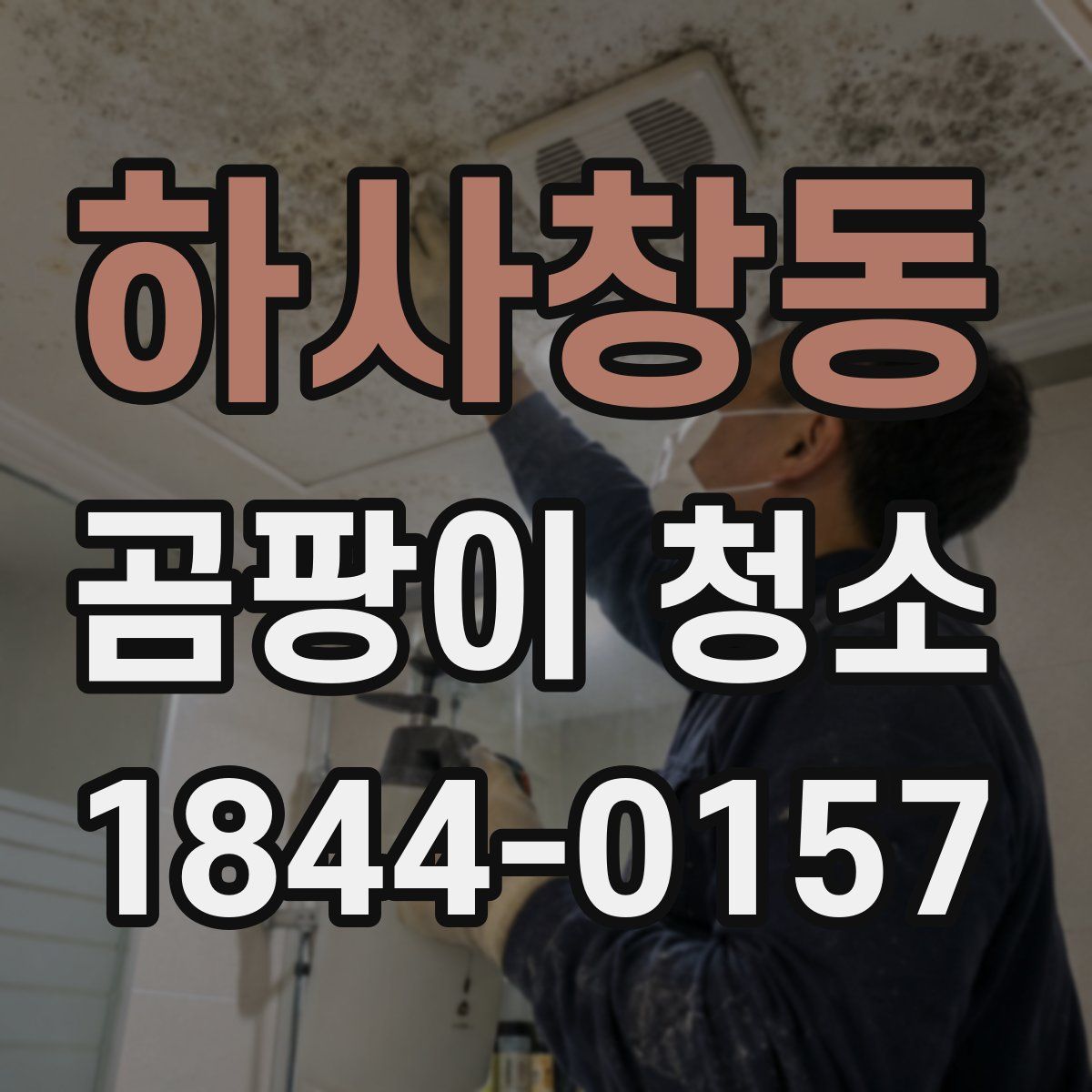 하사창동 곰팡이 청소