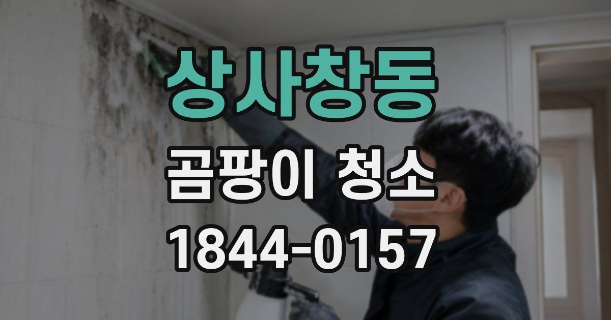 상사창동 곰팡이 청소