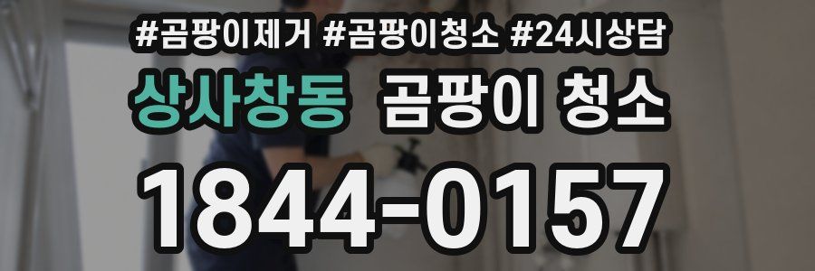 상사창동 곰팡이 청소