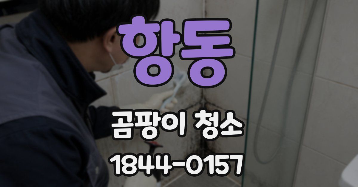 항동 곰팡이 청소