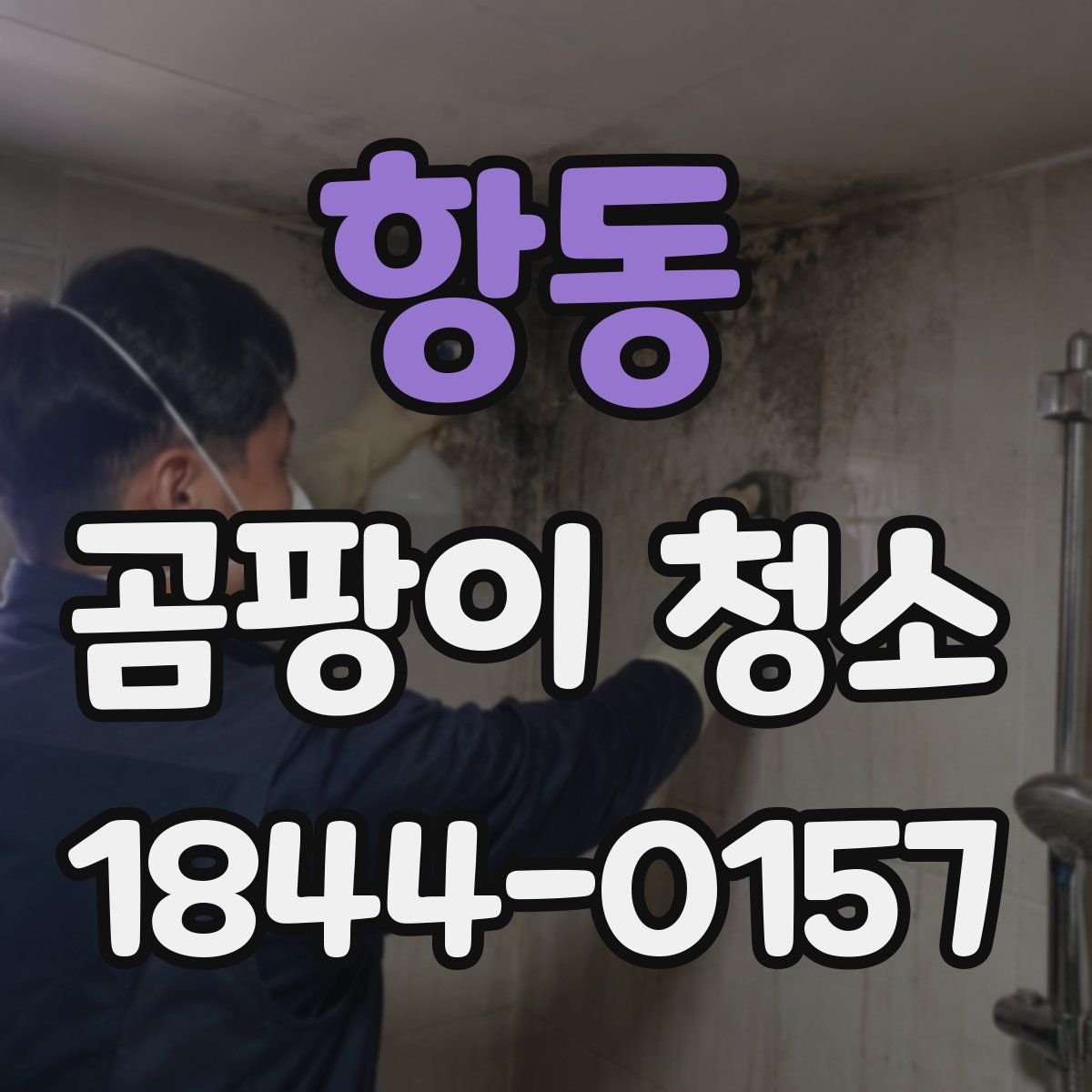항동 곰팡이 청소