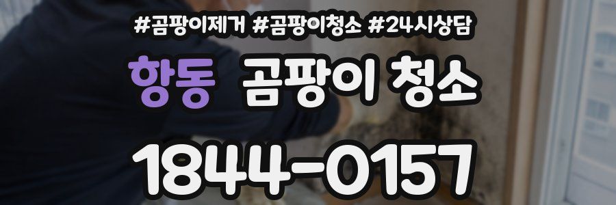 항동 곰팡이 청소