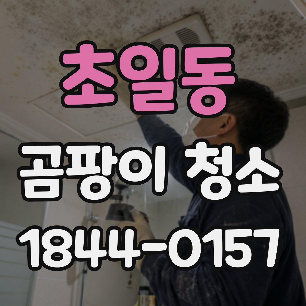초일동 곰팡이 청소