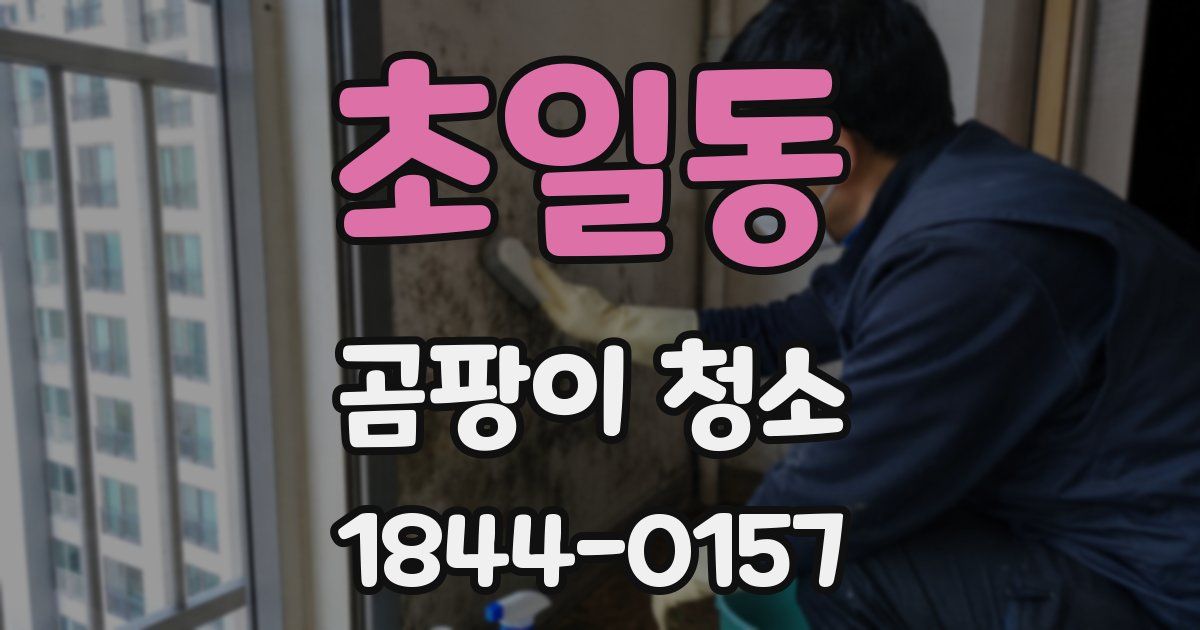초일동 곰팡이 청소
