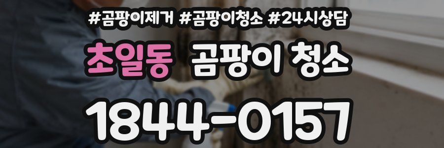초일동 곰팡이 청소