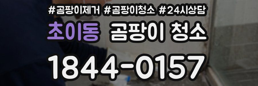 초이동 곰팡이 청소