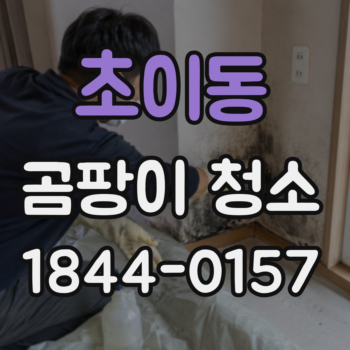 초이동 곰팡이 청소