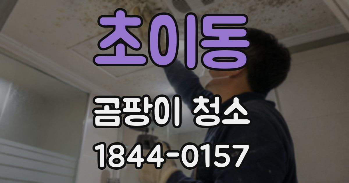 초이동 곰팡이 청소