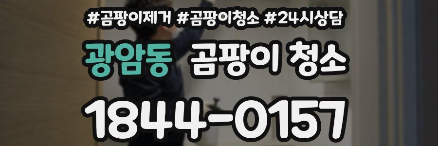 광암동 곰팡이 청소