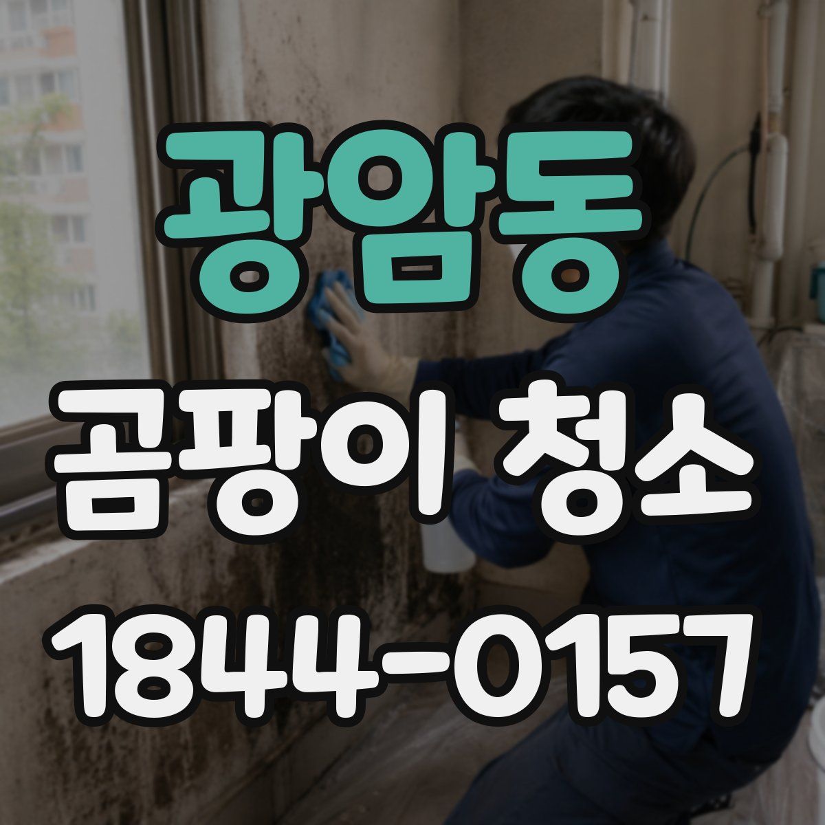 광암동 곰팡이 청소