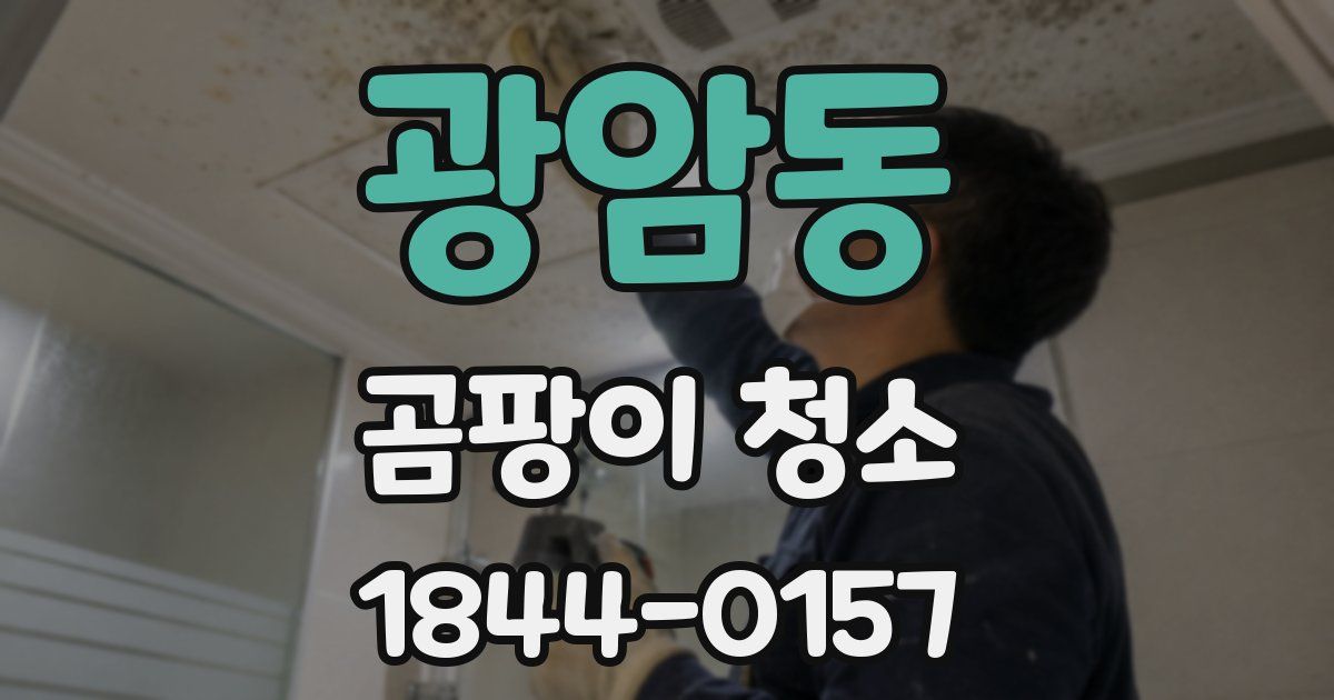 광암동 곰팡이 청소