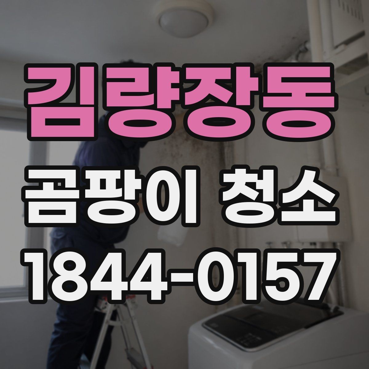 김량장동 곰팡이 청소 약품이 마감재에 미치는 영향과 주의점