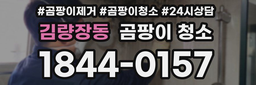 김량장동 곰팡이 청소
