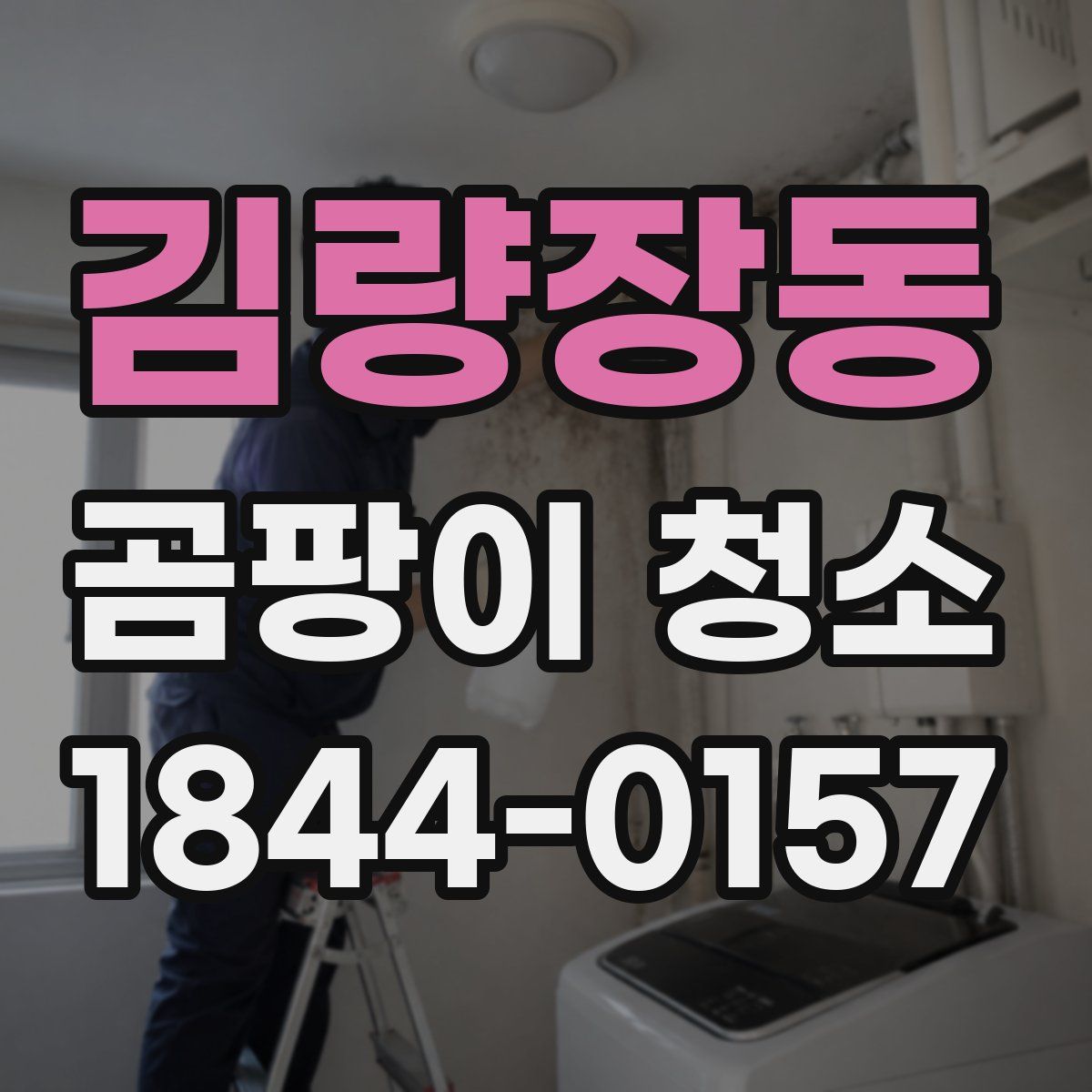 김량장동 곰팡이 청소