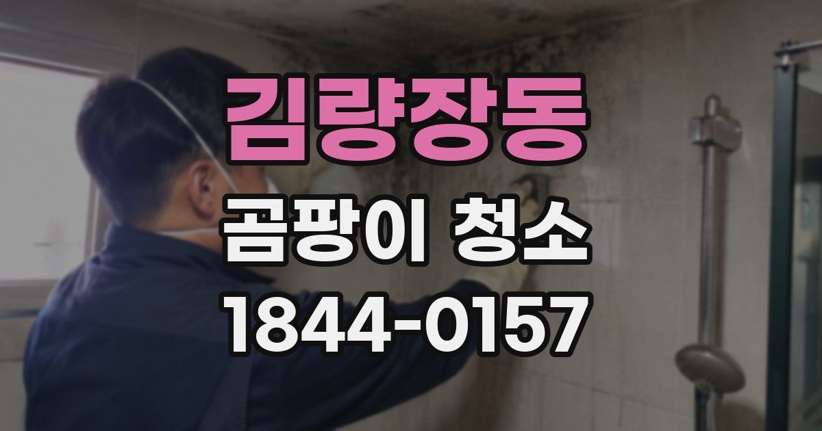 김량장동 곰팡이 청소