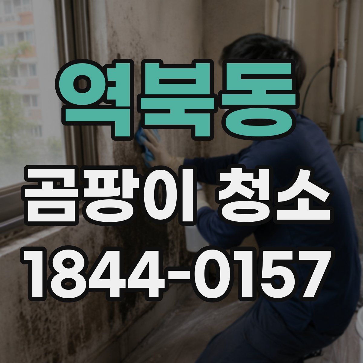 역북동 곰팡이 청소
