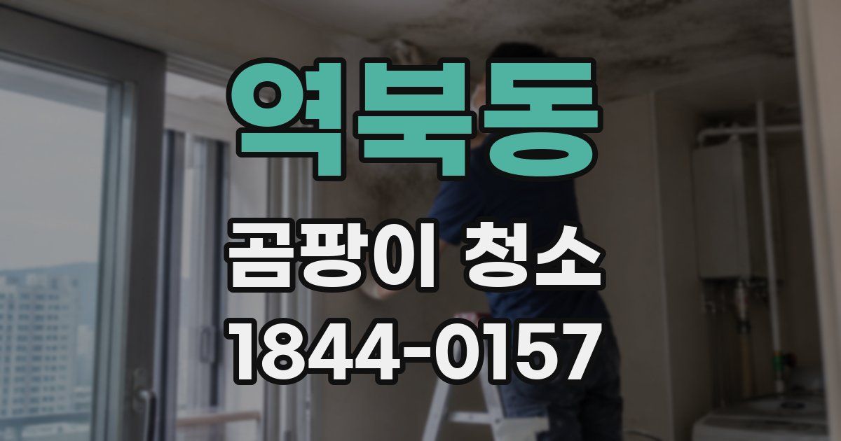 역북동 곰팡이 청소