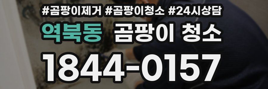 역북동 곰팡이 청소