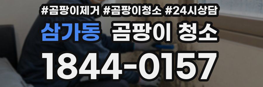 삼가동 곰팡이 청소