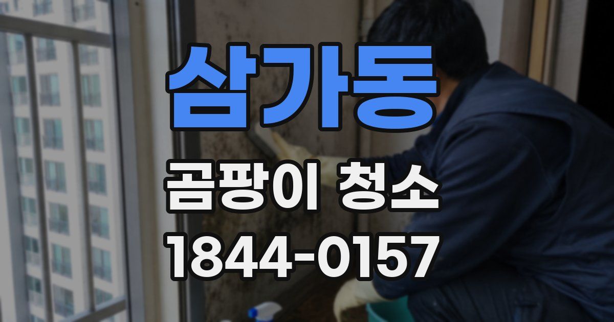 삼가동 곰팡이 청소