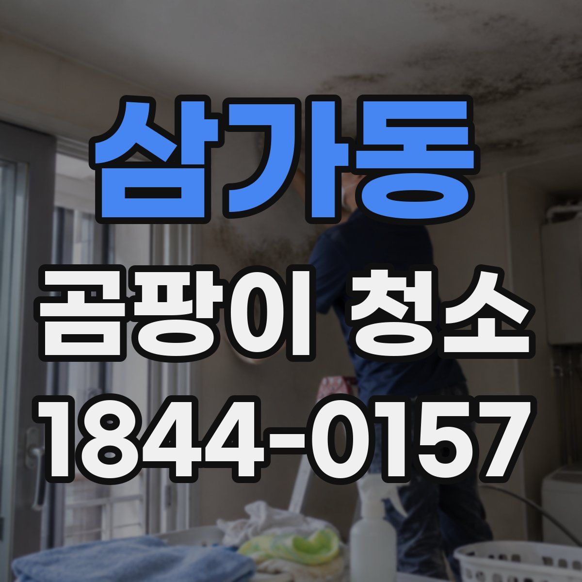 삼가동 곰팡이 청소