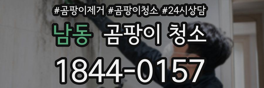 남동 곰팡이 청소