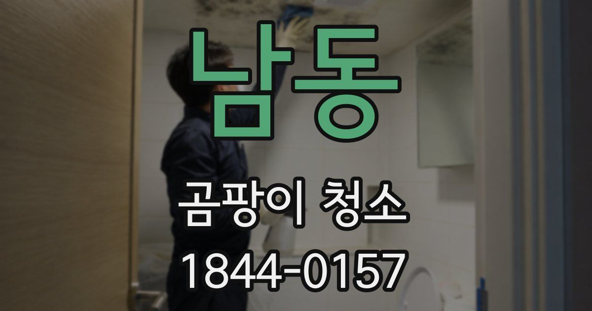 남동 곰팡이 청소