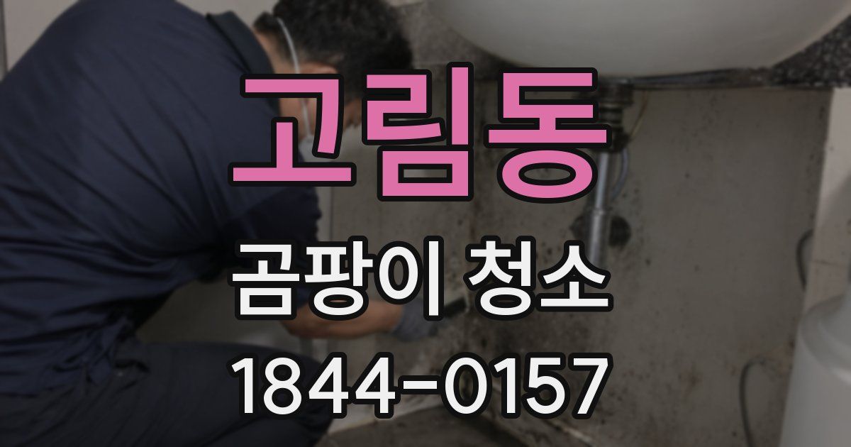 고림동 곰팡이 청소