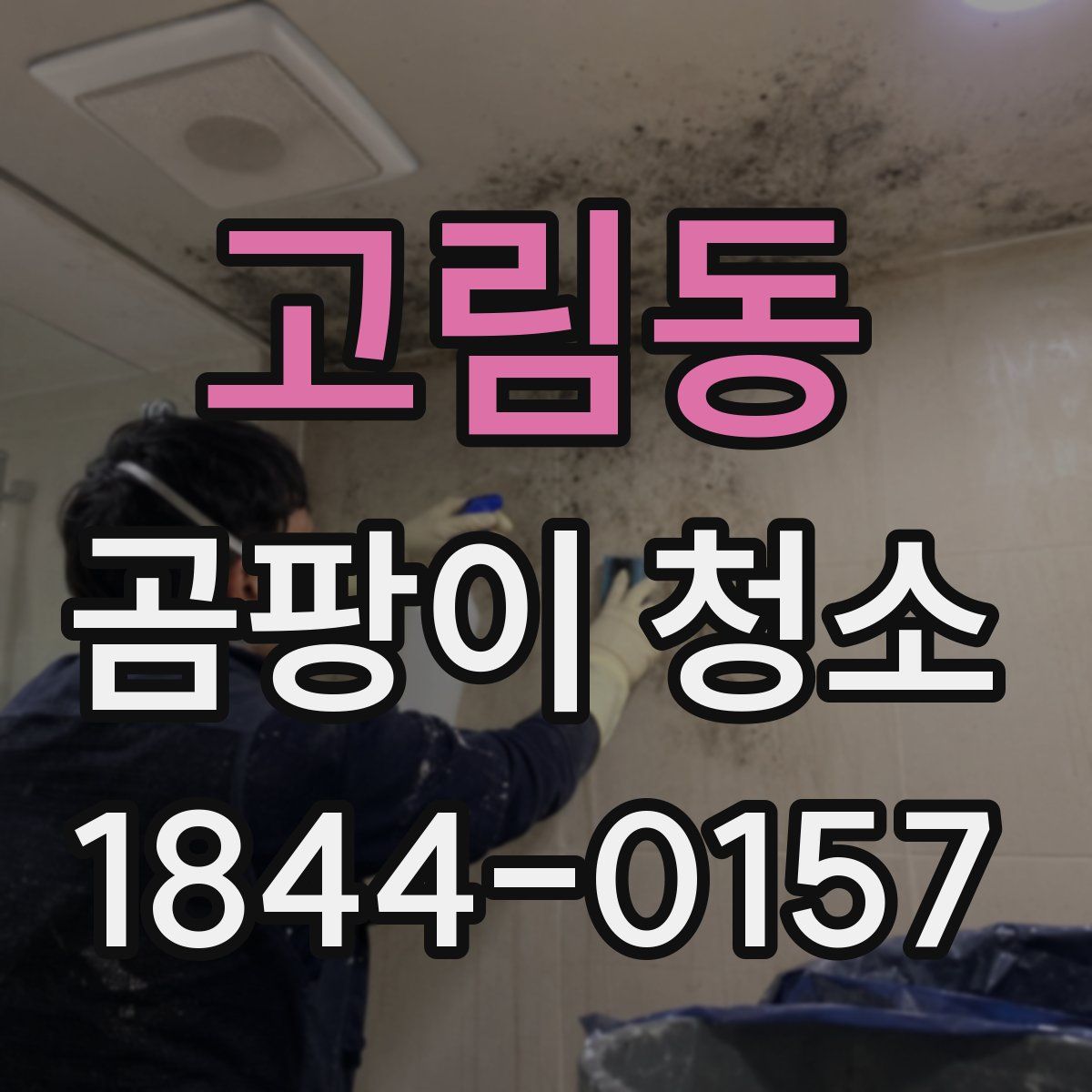 고림동 곰팡이 청소