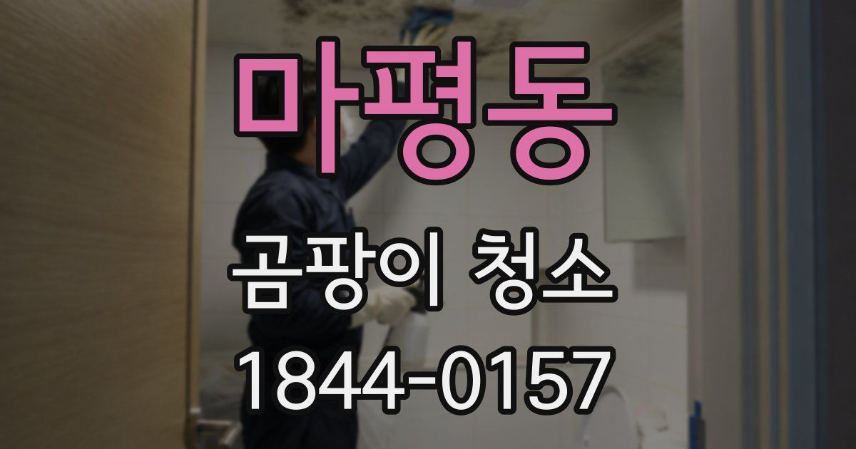 마평동 곰팡이 청소