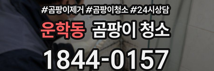 운학동 곰팡이 청소