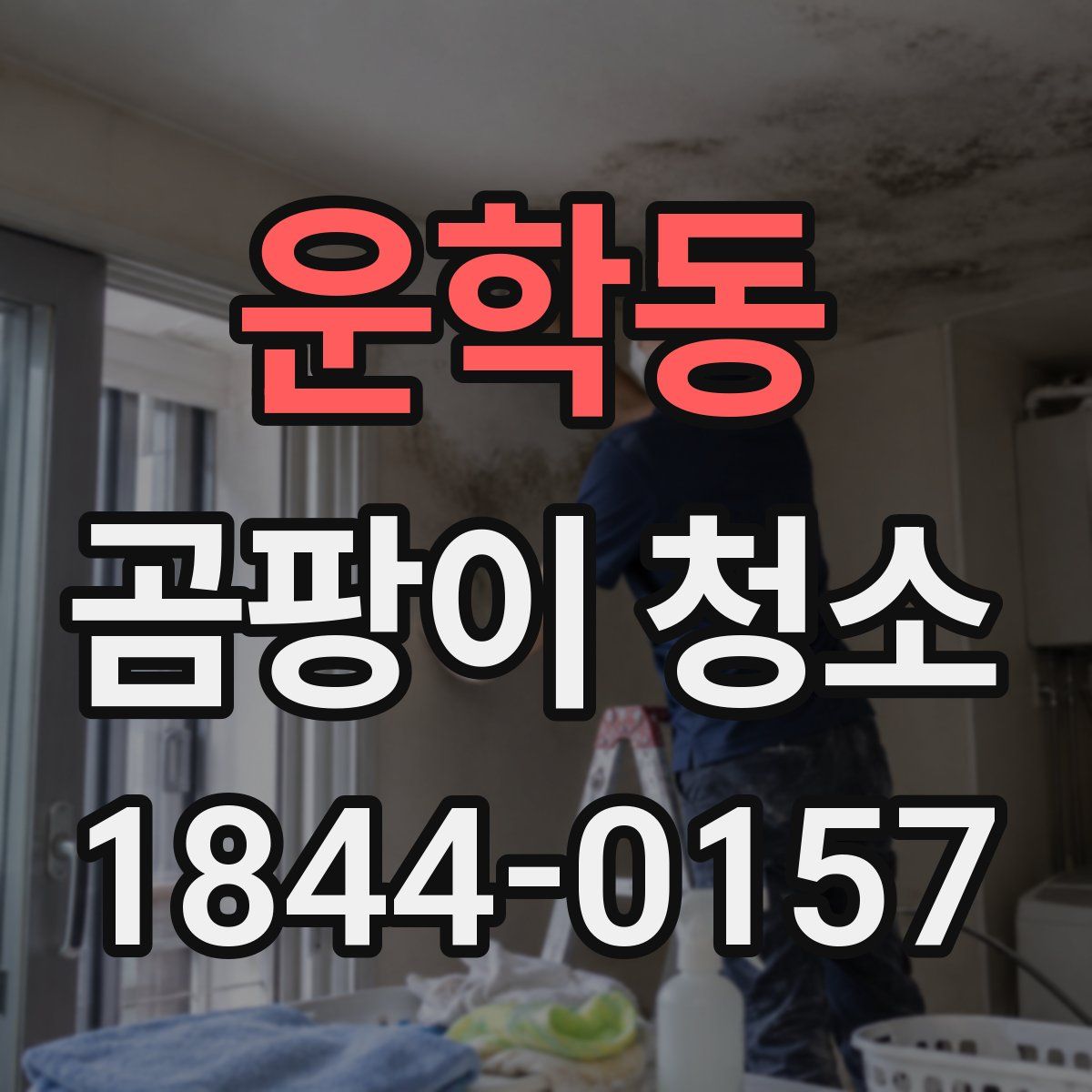 운학동 곰팡이 청소