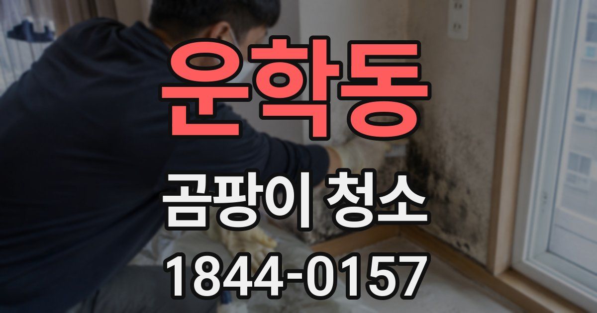 운학동 곰팡이 청소
