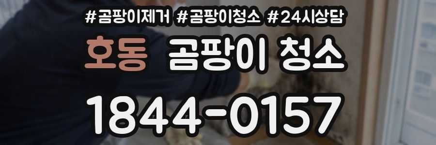 호동 곰팡이 청소