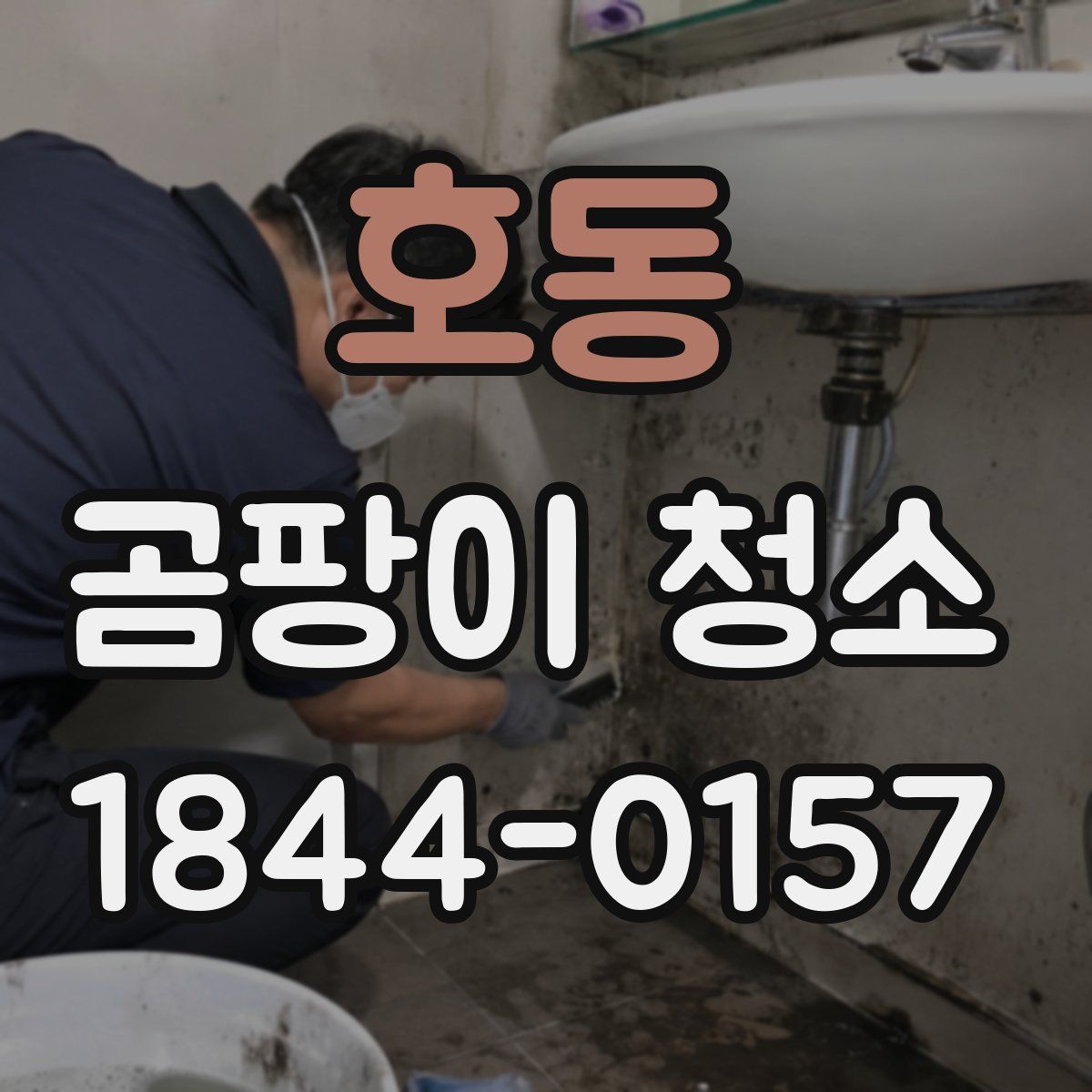 호동 곰팡이 청소
