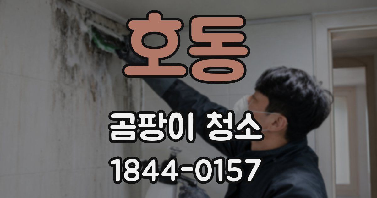 호동 곰팡이 청소