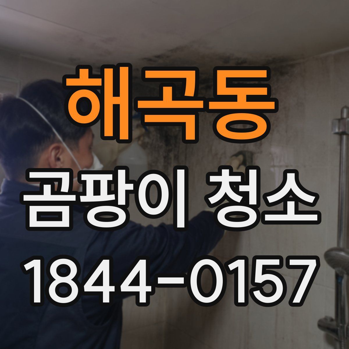 해곡동 곰팡이 청소