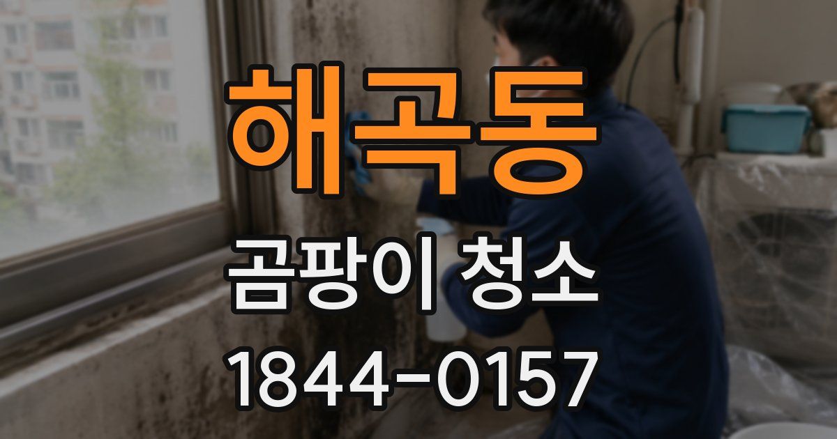 해곡동 곰팡이 청소