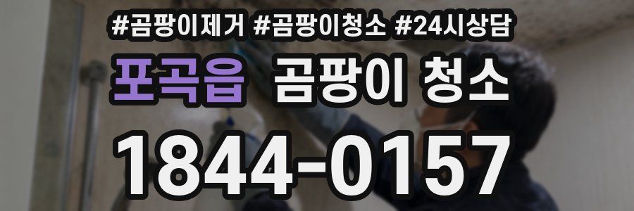 포곡읍 곰팡이 청소