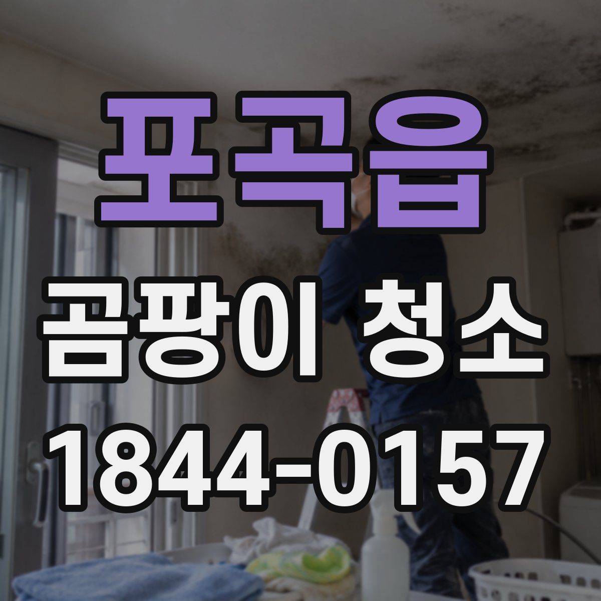 포곡읍 곰팡이 청소