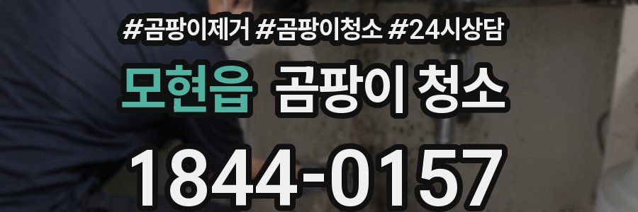 모현읍 곰팡이 청소