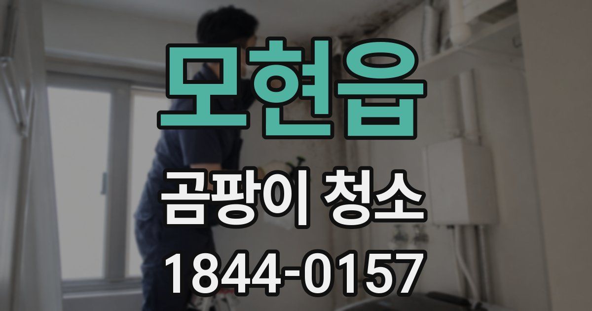모현읍 곰팡이 청소