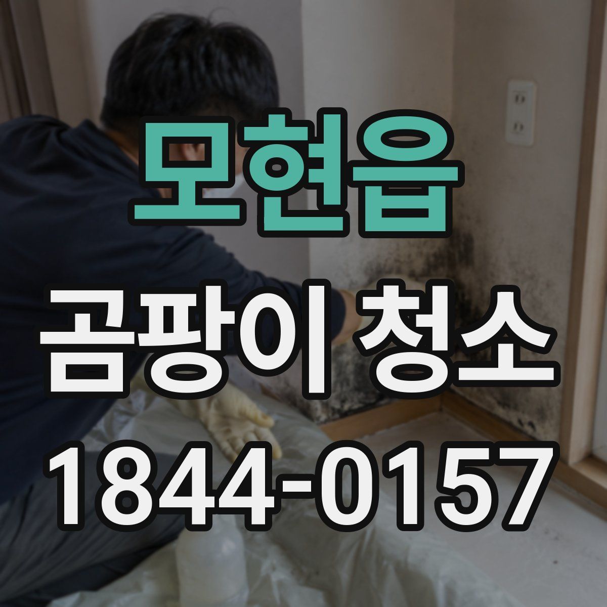 모현읍 곰팡이 청소