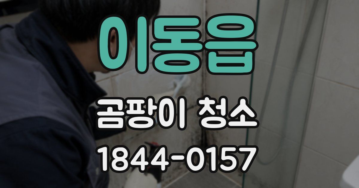 이동읍 곰팡이 청소