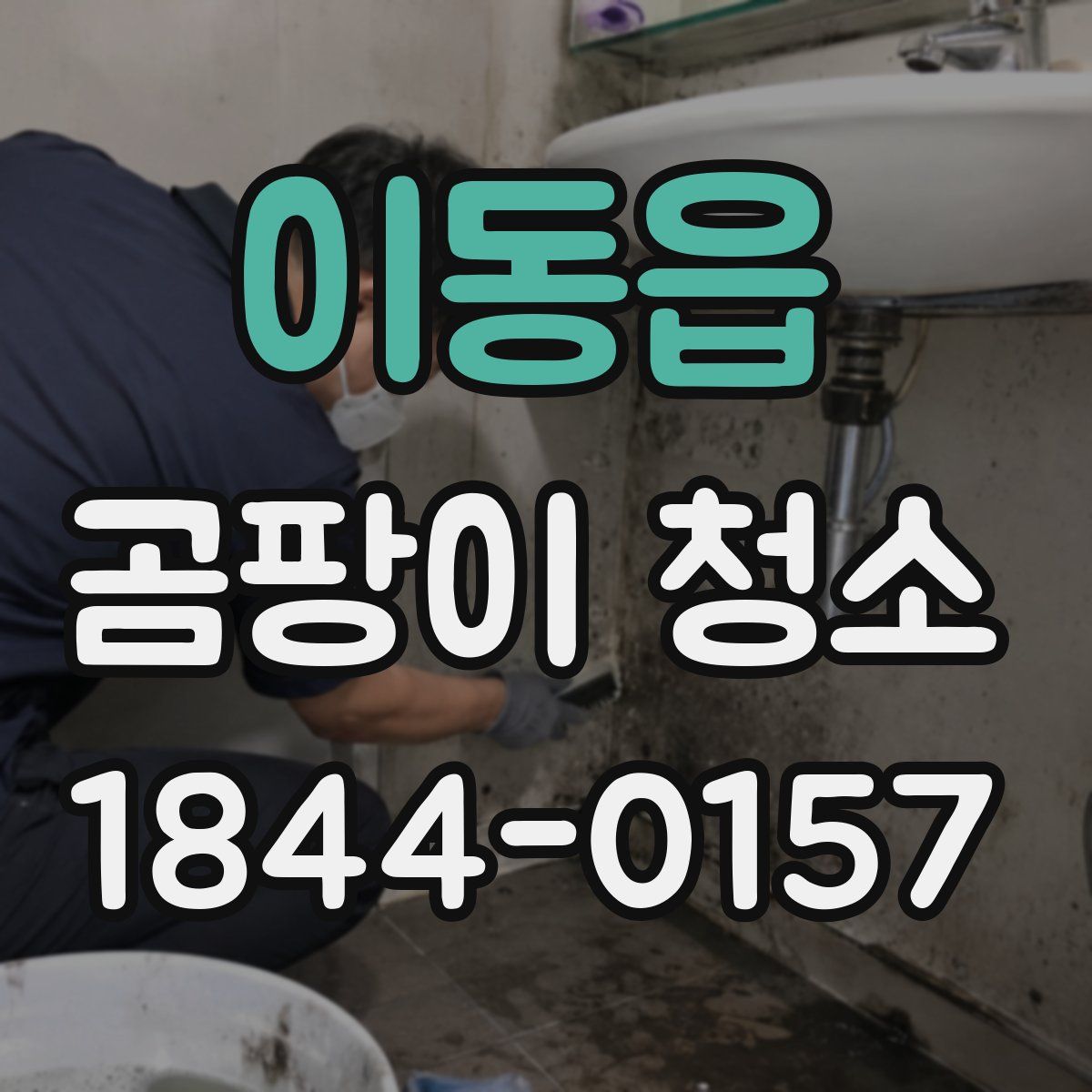 이동읍 곰팡이 청소