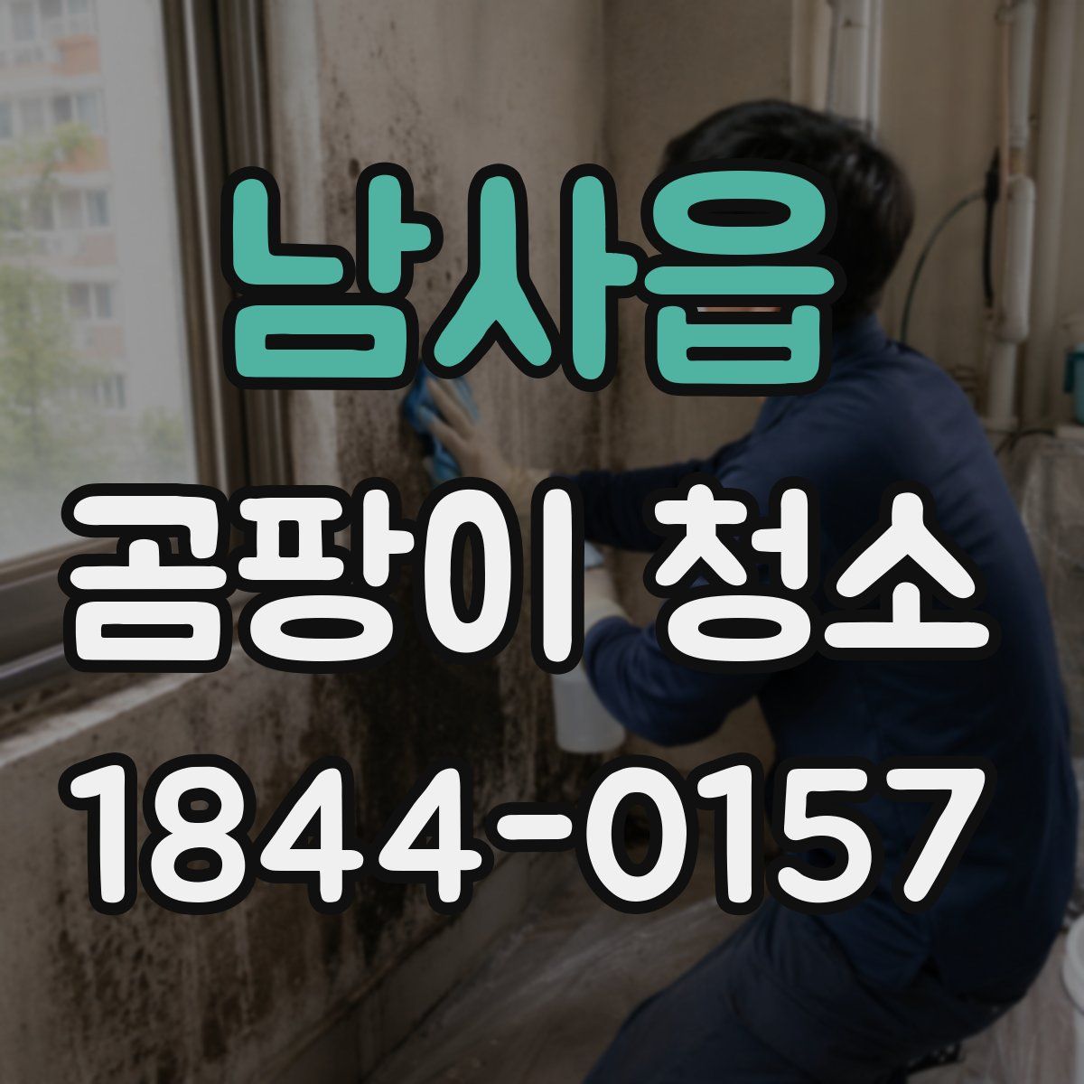 남사읍 곰팡이 청소