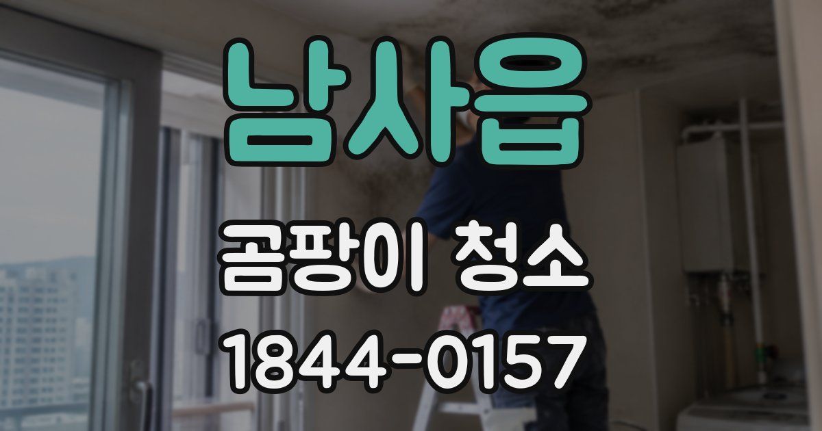 남사읍 곰팡이 청소