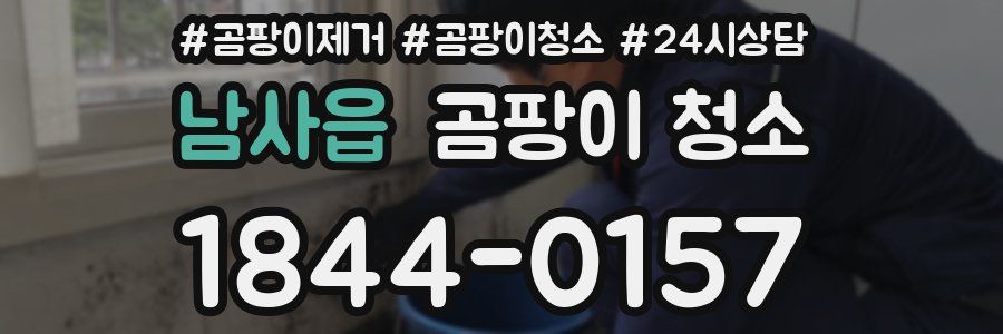 남사읍 곰팡이 청소